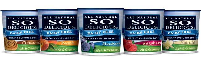 so delicious yogurt