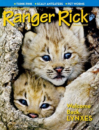 Ranger-Rick-7