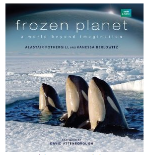 Frozen Planet Book
