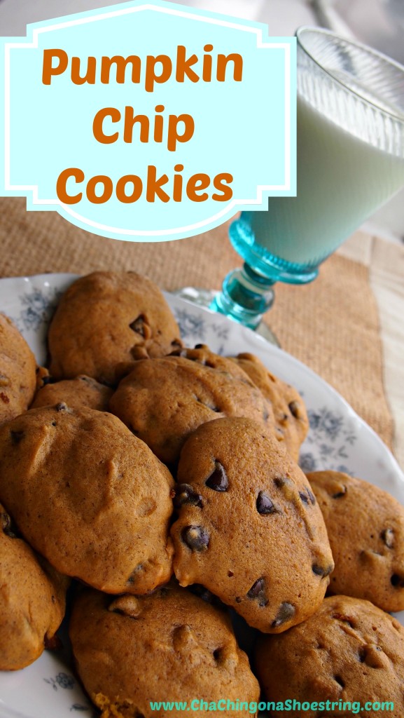 Pumpkin Chocolate Chip Cookies Recipe