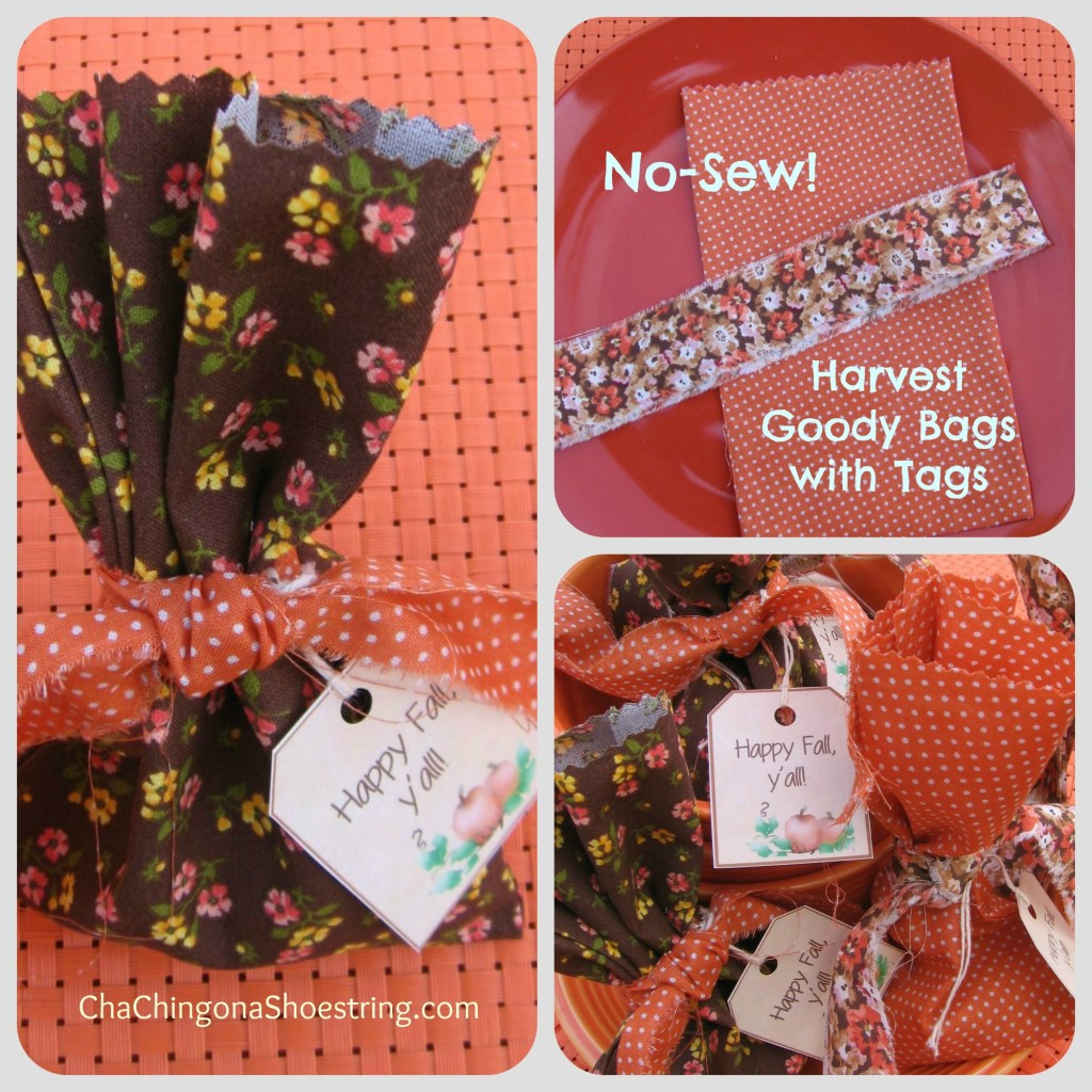 Pic Harvest Goody Bag Collage