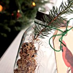 How to Make a Bird Seed Ornament