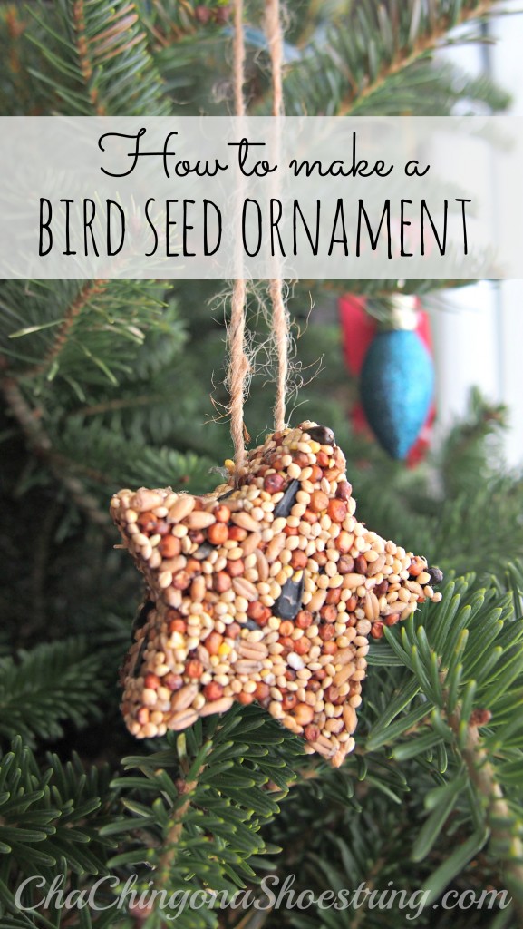 How to Make a Bird Seed Ornament