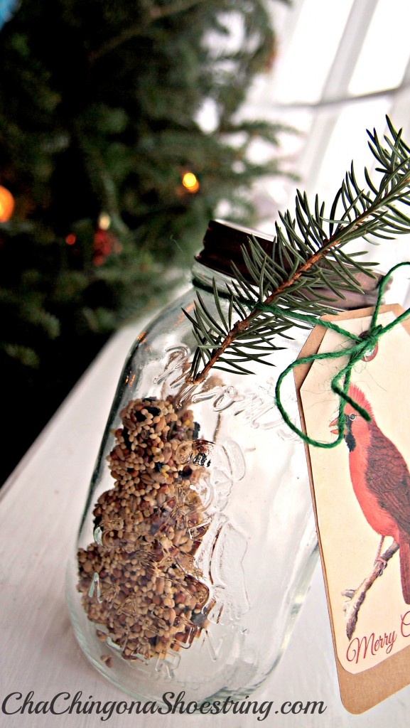 How to Make a Bird Seed Ornament