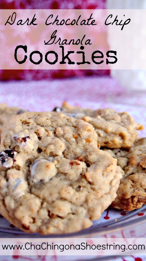 Dark Chocolate Chip Granola Cookies