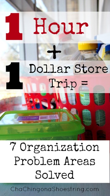 Dollar Store Organization