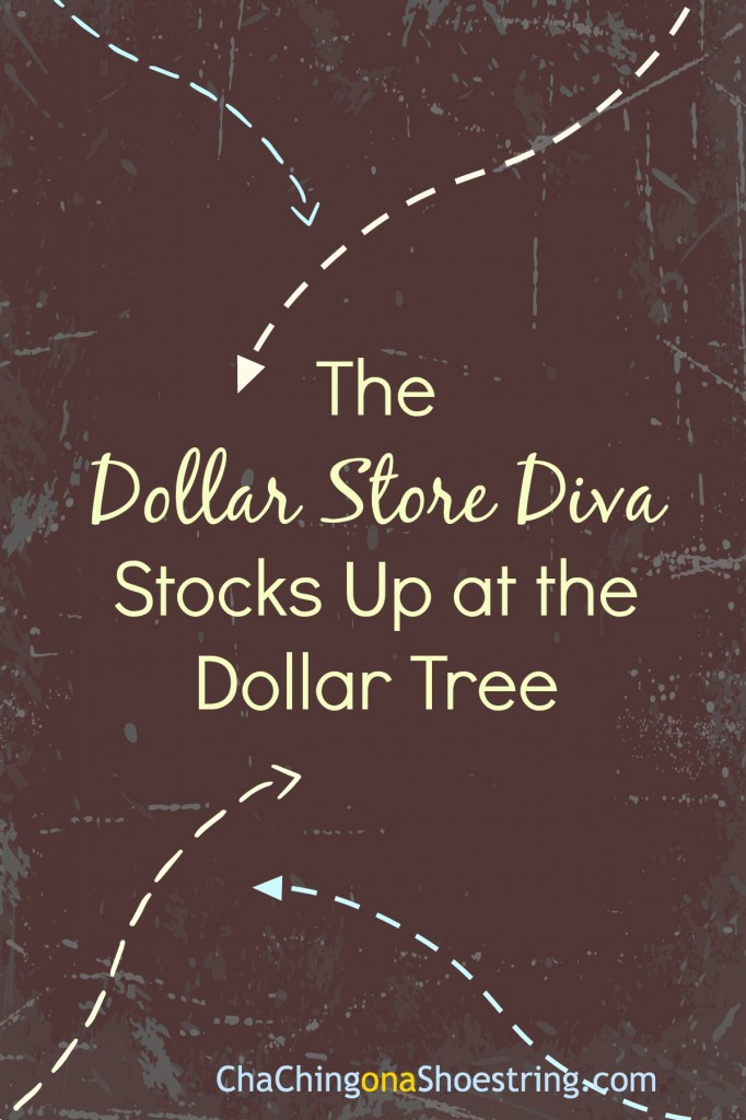 Dollar Store Diva Stocks Up