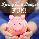 How to Make Living on a Budget Fun!