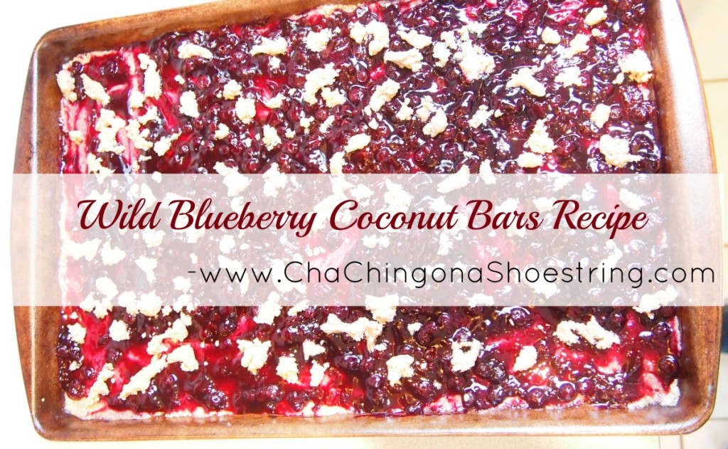 Wild Blueberry Coconut Bars Recipe