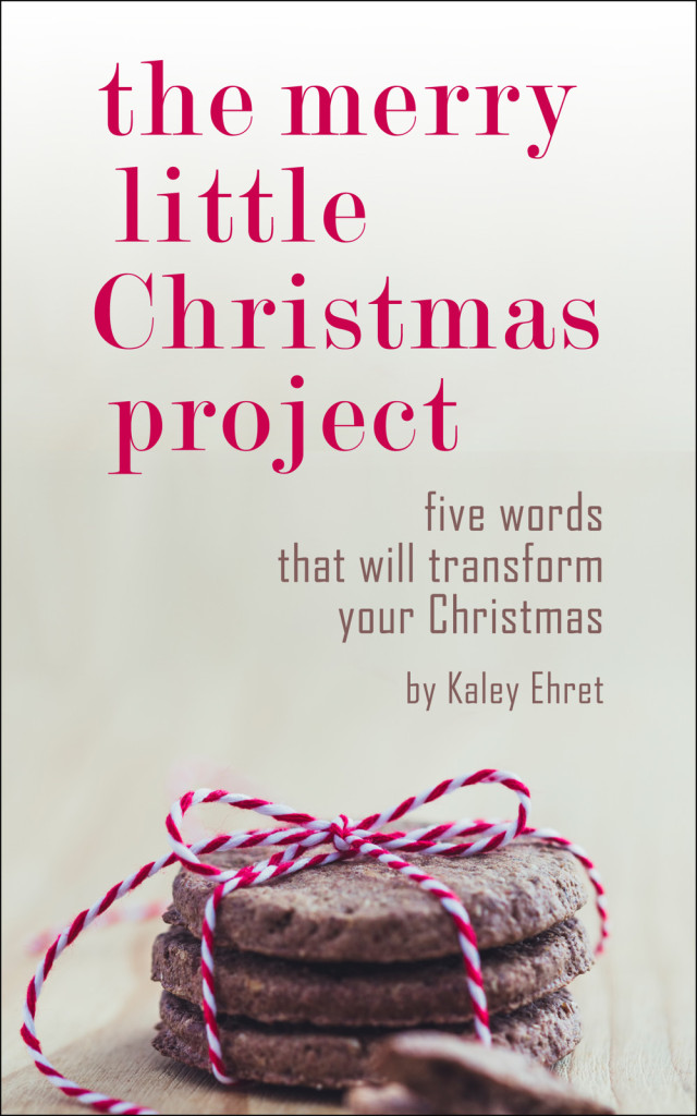Merry Little Christmas Project cover