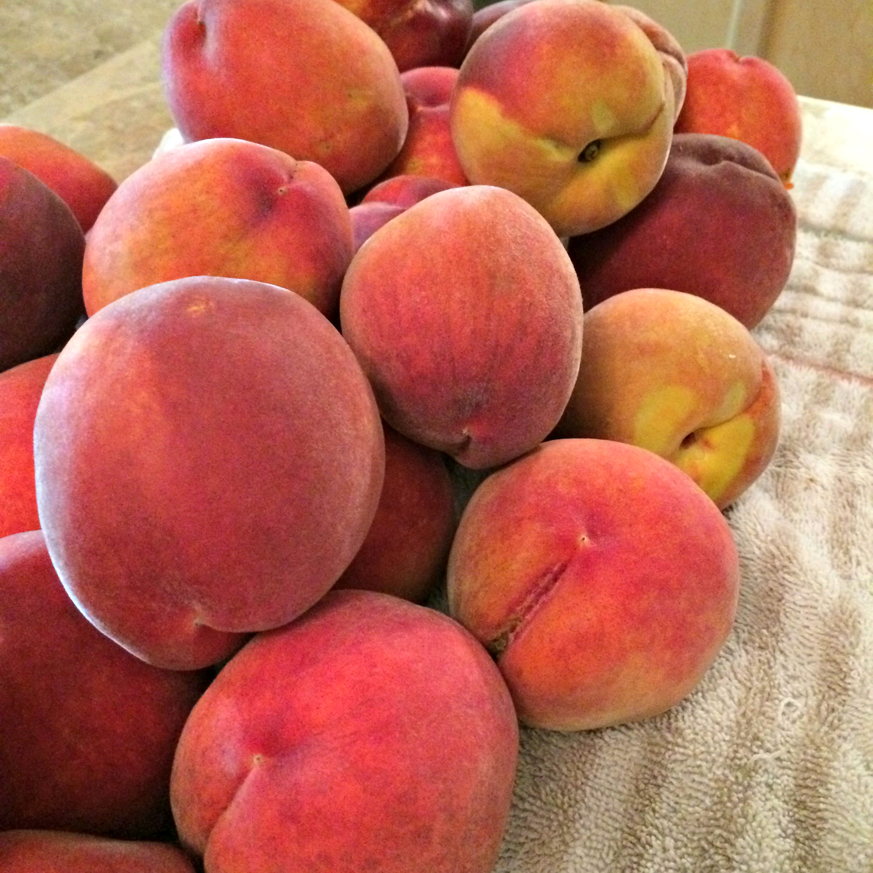 Millions of Peaches, Peaches for Me, Millions of Peaches…. ChaChing